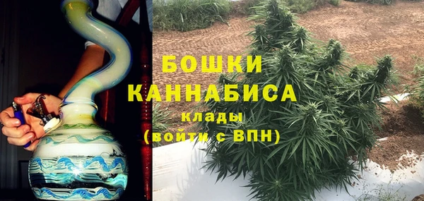 индика Дмитриев