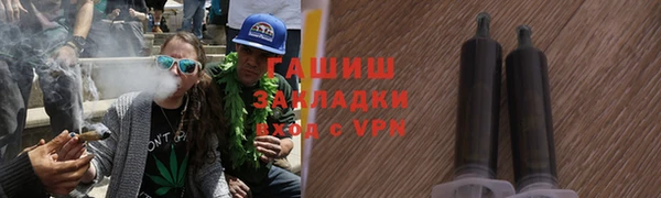 индика Дмитриев