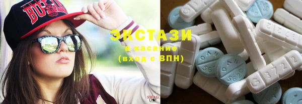 индика Дмитриев