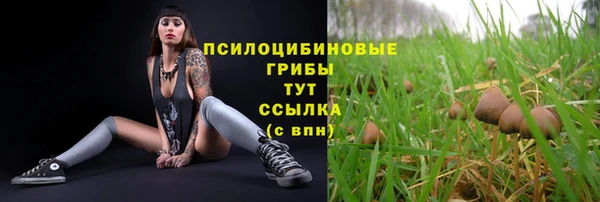 мет Дмитровск
