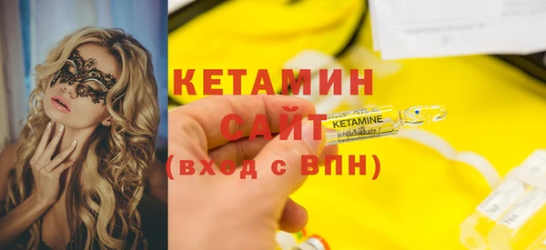 индика Дмитриев