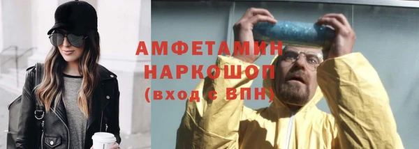 индика Дмитриев