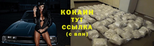 индика Дмитриев
