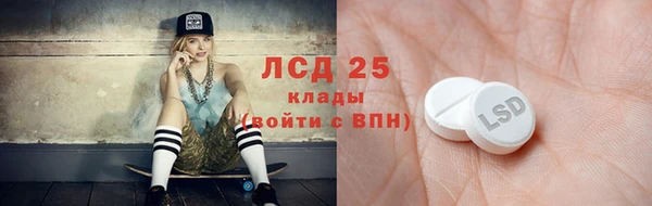 индика Дмитриев