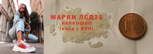 индика Дмитриев
