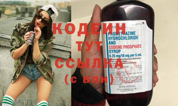 индика Дмитриев