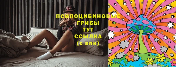 индика Дмитриев