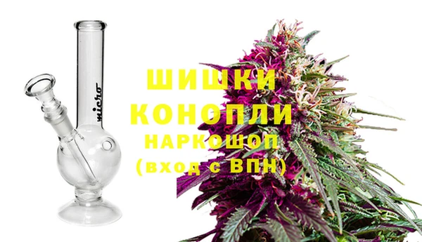 индика Дмитриев