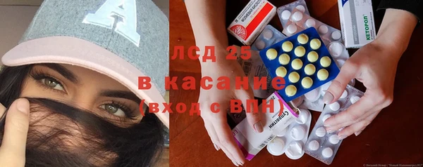 прущие грибы Дегтярск