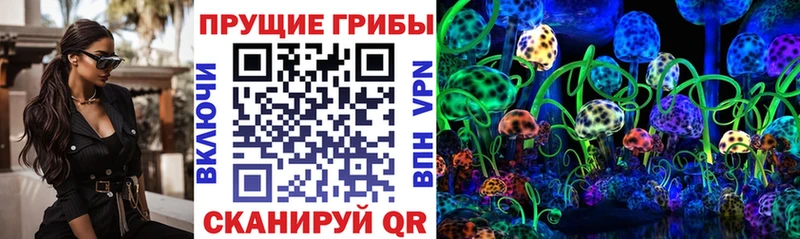 Псилоцибиновые грибы Cubensis  цена наркотик  МЕГА сайт  Дубовка 